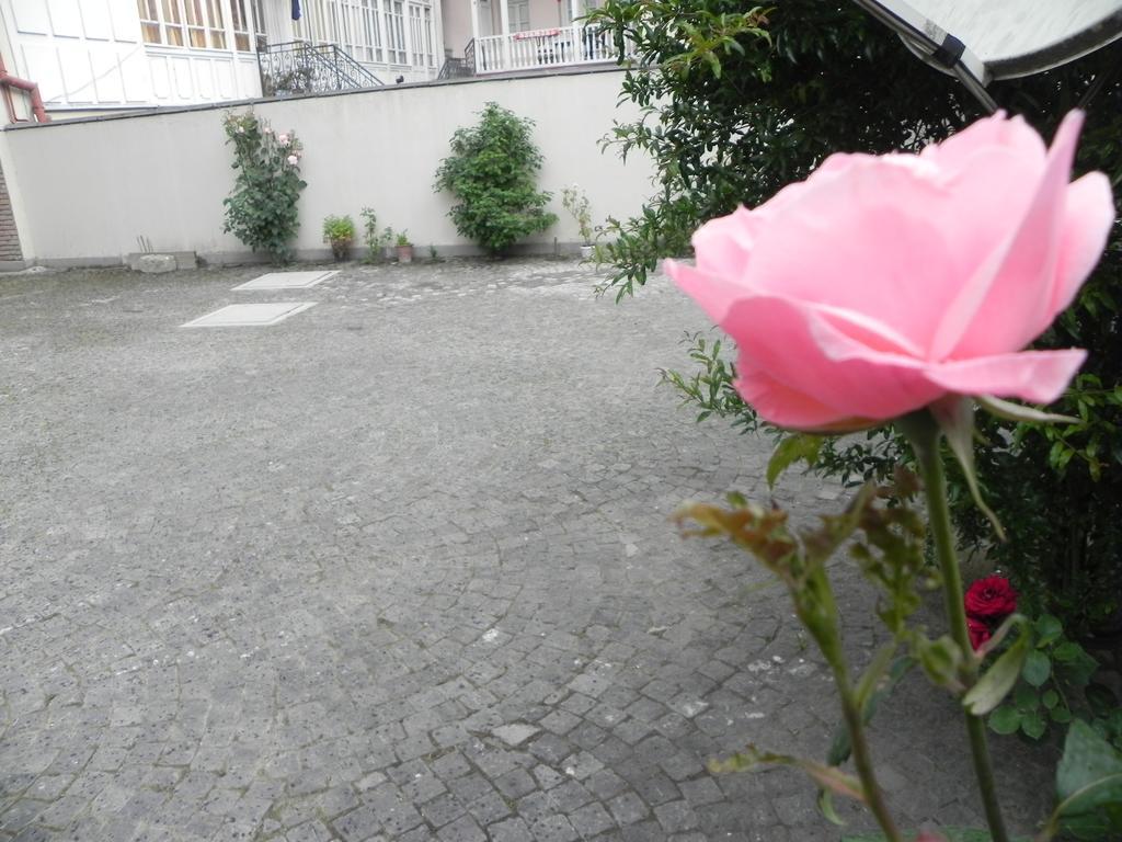 Old Yard Guest House Tbilisi Exterior photo